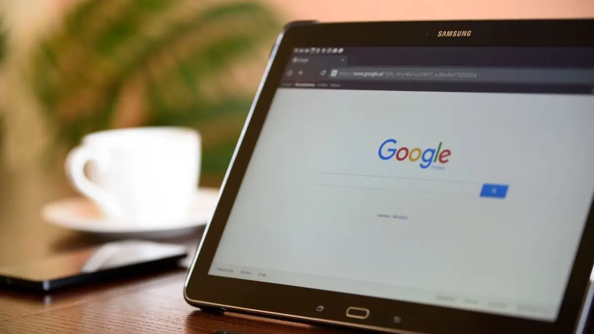 SEO Uzmanı