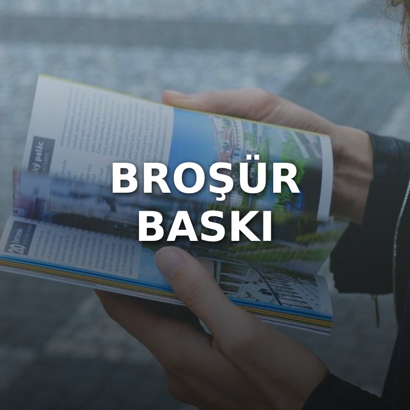 Broşür Baskı