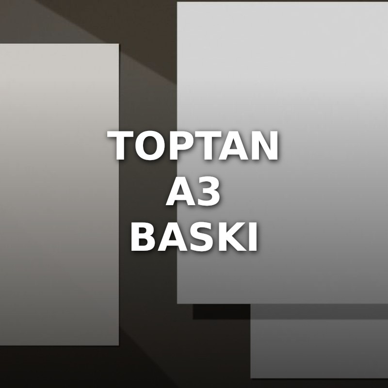 Toptan A3 Baskı