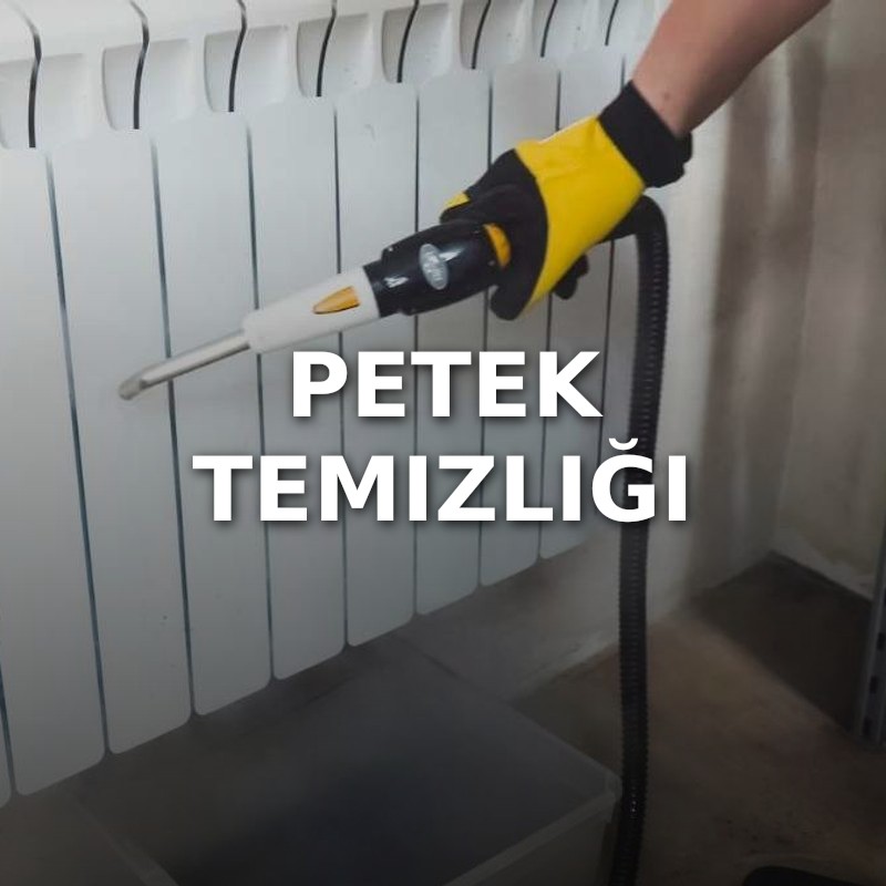 Petek Temizliği